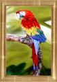 PERROQUET  (50X70)