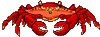 crabes014.gif